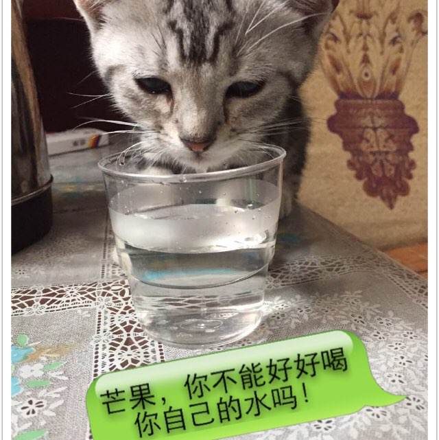 做个精仿日本熊本学园大学文凭毕业证